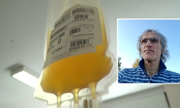 Mauro Rango replica a Burioni: “Terapia col plasma economica e semplice”