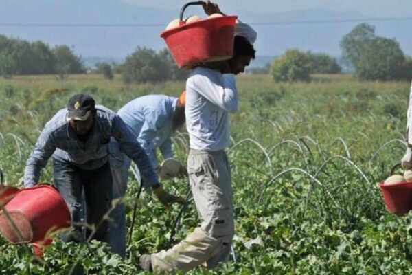 Regolarizzare i migranti è un vantaggio per la nostra economia