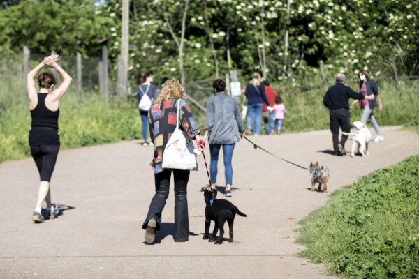 Fase 2, dall’attività nei parchi all’accompagnamento a lavoro: le nuove disposizioni del Viminale