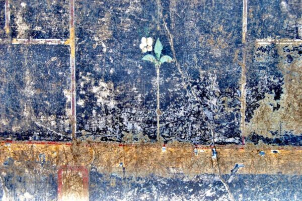 Pompei, l’enigma di “Mummia” il graffito emerso tra gli scavi