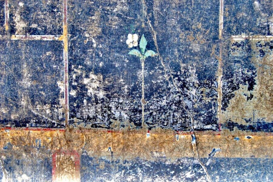 Pompei, l’enigma di “Mummia” il graffito emerso tra gli scavi