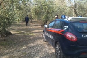 IMMAGINE DI REPERTORIO