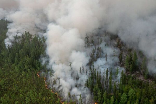Nuovo disastro ambientale in Siberia: tornano gli incendi, ed è molto peggio di un anno fa