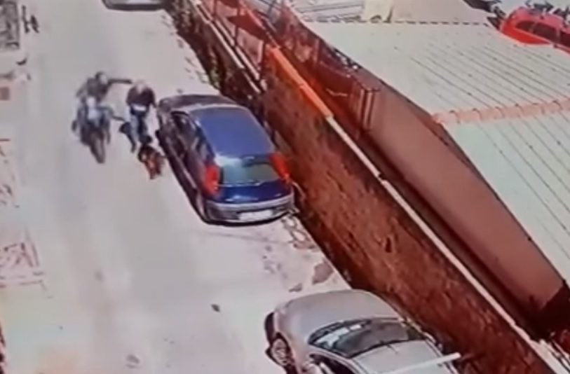 Napoli, ‘nonnino’ scippato mentre porta a spasso il cane