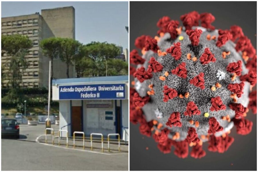 Svolta nella ricerca sul Covid, da Napoli lo studio che impedisce al virus l’ingresso nelle cellule