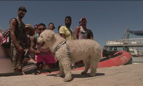 A Tripoli è strage di profughi, ma in Italia si parla del cagnolino tunisino…