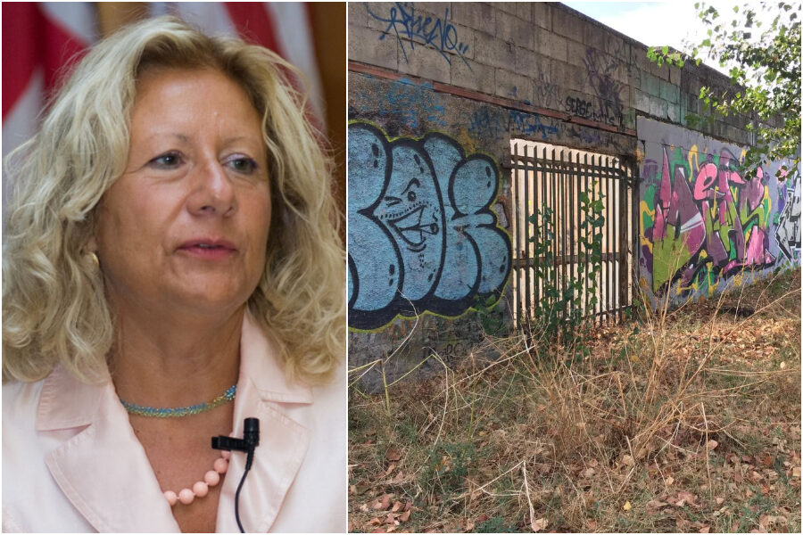 “Il Comune non ha soldi, i cittadini finanzino la cura degli spazi verdi”, l’appello della professoressa Triassi