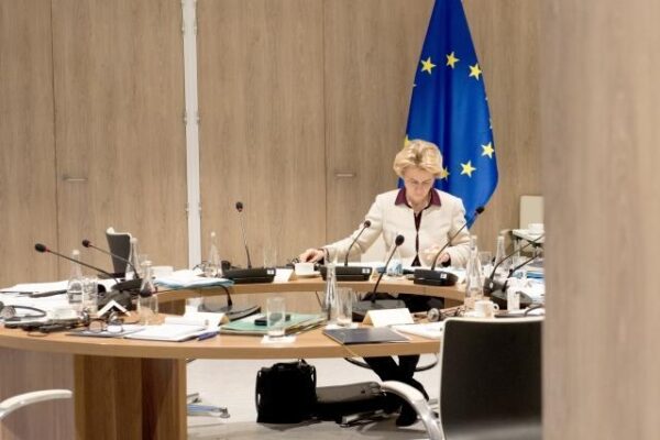 Qualche vizio ma tante virtù di una delle migliori amministrazioni del mondo: quella dell’Ue