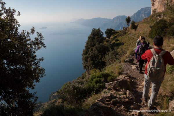 La green economy premia la Campania: parchi nazionali di Cilento e Vesuvio accelerano lo sviluppo La green economy premia la Campania: parchi nazionali di Cilento e Vesuvio accelerano lo sviluppo