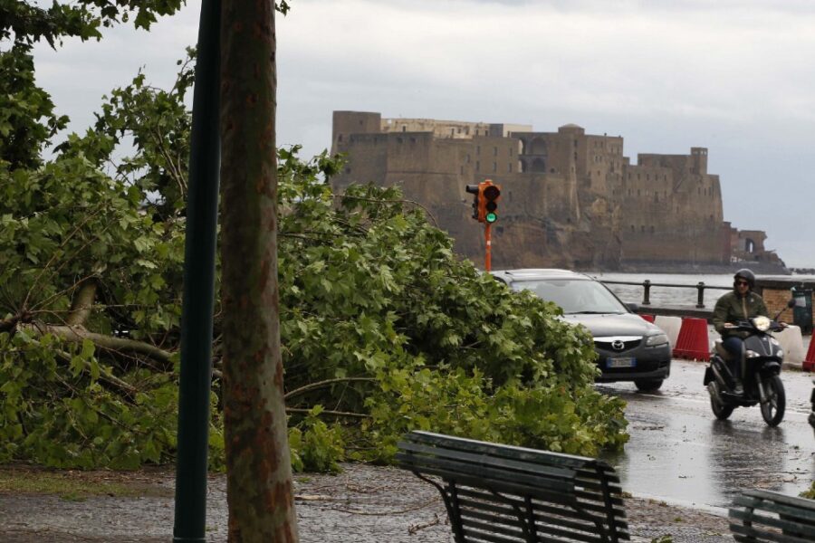 I semafori restano spenti e gli alberi cadono: casi emblematici della Napoli di oggi