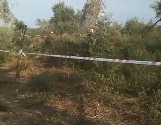 Il video del bosco di Caronia in cui sono stati trovati Viviana e Gioele