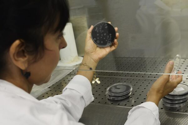 Legionella ‘killer’ nel Varesotto, 16 casi e un decesso: “Esami sull’acqua”