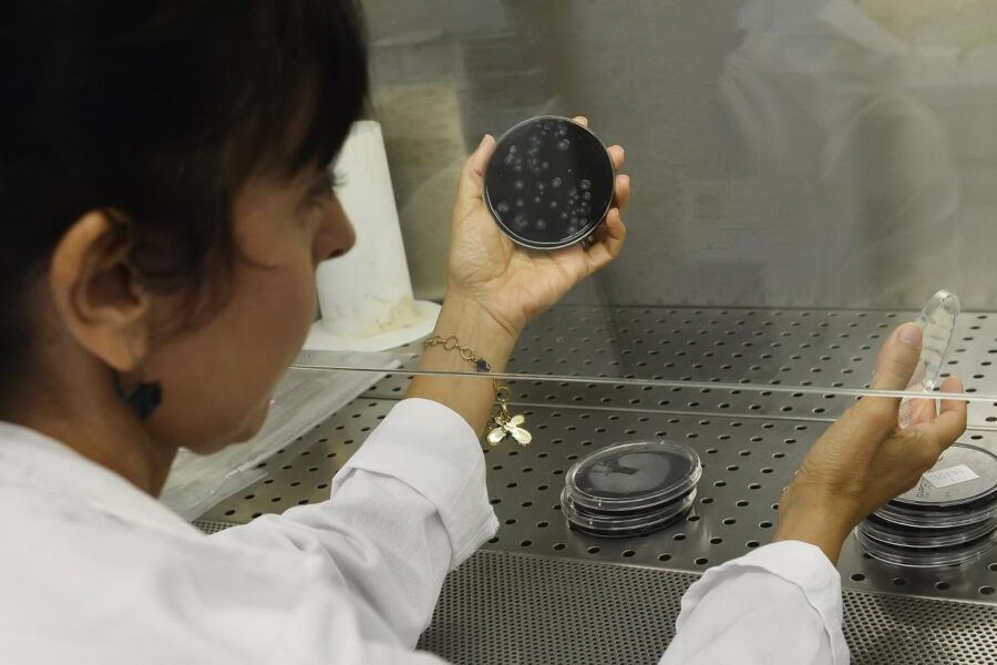 Legionella ‘killer’ nel Varesotto, 16 casi e un decesso: “Esami sull’acqua”