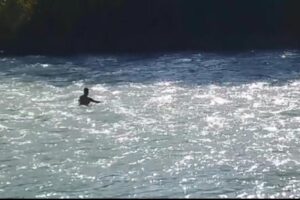 Storia del papà che ogni giorno si immerge nel fiume Adda per trovare la figlia scomparsa: “Non posso smettere”