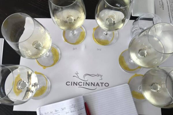 Vini Cincinnato: il Bellone ha un futuro da spumante