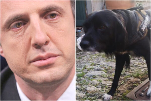 Insegue il cane che scappa dal giardino di casa, Ferruccio Sansa segnalato per violazione della quarantena