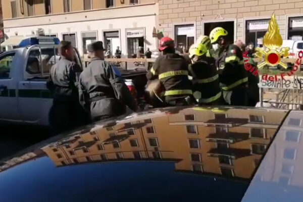 I cinghiali invadono la Darsena, il video del recupero dei vigili del fuoco I cinghiali invadono la Darsena, il video del recupero dei vigili del fuoco