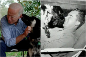 I cani dei presidenti: da Kennedy a Nixon fino a Biden tutti gli animali domestici della Casa Bianca