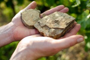 Attems dei Marchesi Frescobaldi: il prestigio dei vini del Collio