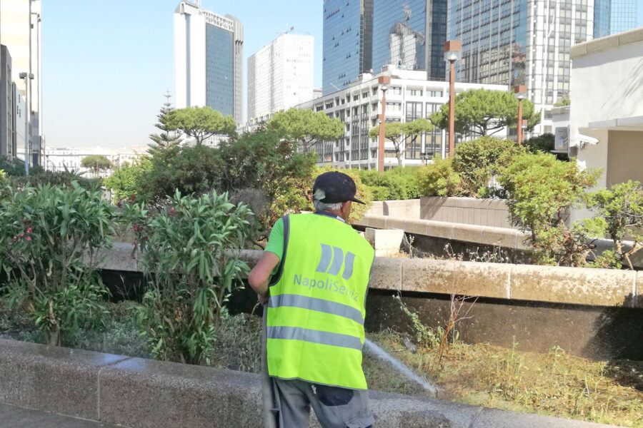 Affidiamo ai privati i servizi pubblici, non sono il demonio