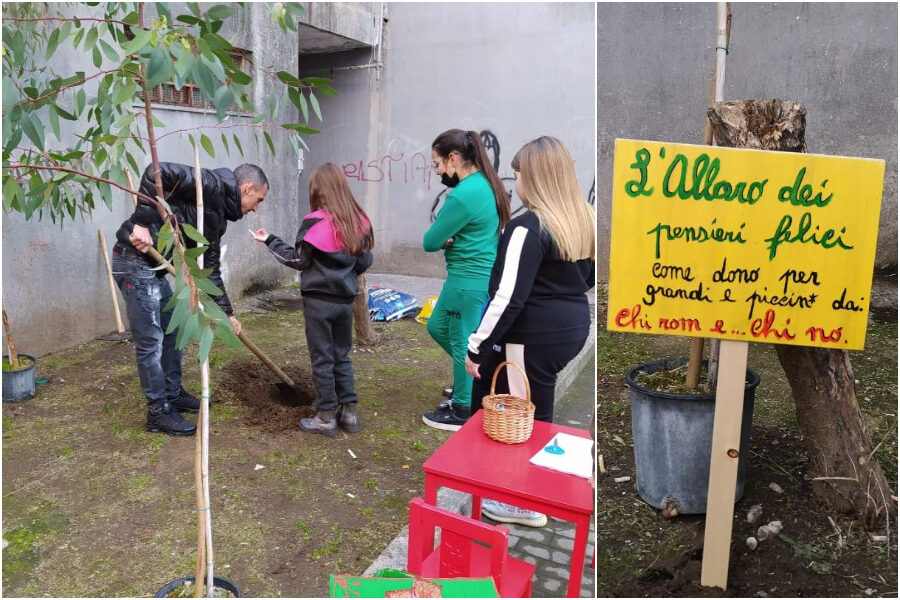 Natale di solidarietà a Scampia: piantato l’albero dei pensieri felici alle ‘case dei puffi’