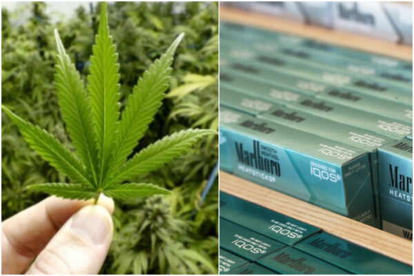 Tabacco riscaldato, abolizione dello sconto e via libera alla cannabis light Tabacco riscaldato, abolizione dello sconto e via libera alla cannabis light