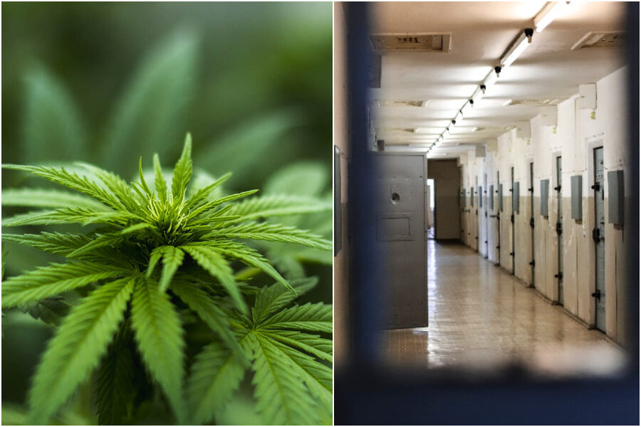 Piccoli spacciatori, la proposta di Magi (+Europa): “Depenalizzare per evitare sovraffollamento carceri”