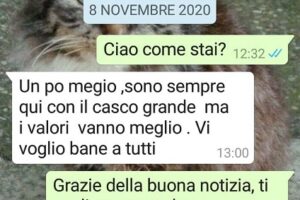 Gli ultimi messaggi della maestra Lucia ai suoi figli, lo sfogo di Eleonora: “Negazionisti, il covid esiste”