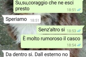 Gli ultimi messaggi della maestra Lucia ai suoi figli, lo sfogo di Eleonora: “Negazionisti, il covid esiste”