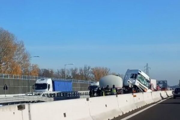 Foto tratta da BolognaToday