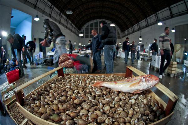 Napoli, botte e spari al mercato del pesce: due feriti, tra cui un minore