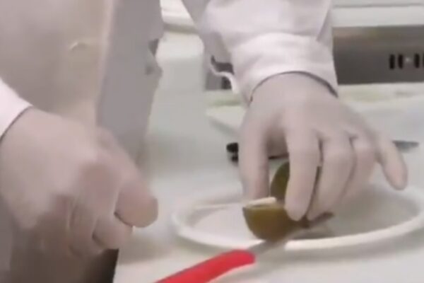 Kiwi positivo al Coronavirus, la bufala diventata virale