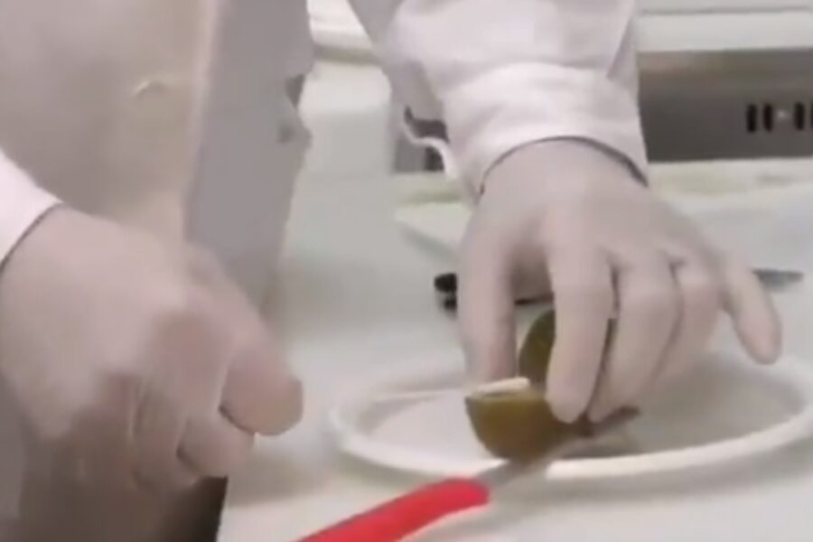 Kiwi positivo al Coronavirus, la bufala diventata virale