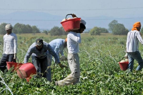 Senza lavoro e tutele, il dramma di 100mila immigrati invisibili