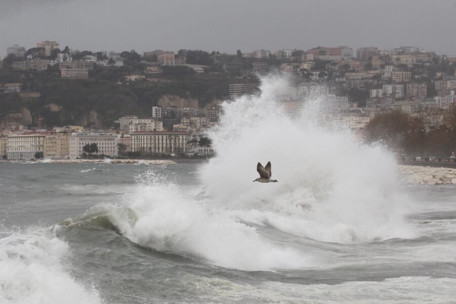 Foto LaPresse – Marco Cantile
30/01/2015 Napoli, Italia
Cronaca
Maltempo e mareggiata nel golfo di Napoli. Sospesi i collegamenti con le isole.

Photo LaPresse – Marco Cantile
01/30/2015 Naples, Italy
News
Bad weather and sea storm in the Bay of Naples. Suspended links with the islands.