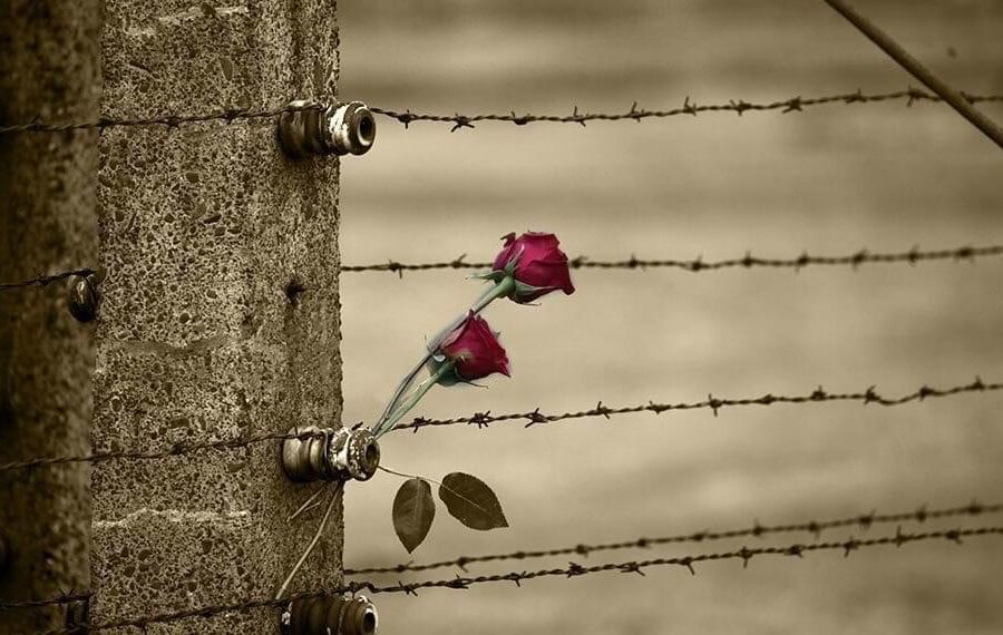 La Shoah sembra lontana, ma il suo seme è ancora intorno a noi