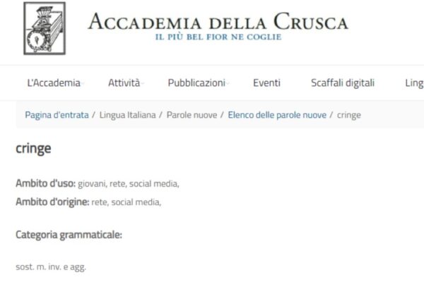 La bufala dei giornali su ‘Cringe’: perché l’Accademia della Crusca non l’ha “certificata” una parola italiana