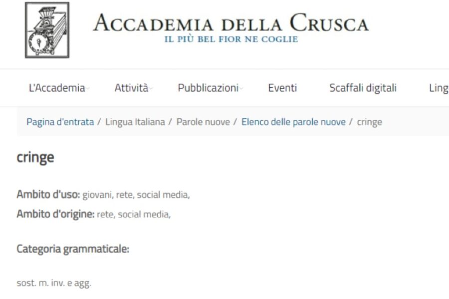 La bufala dei giornali su ‘Cringe’: perché l’Accademia della Crusca non l’ha “certificata” una parola italiana