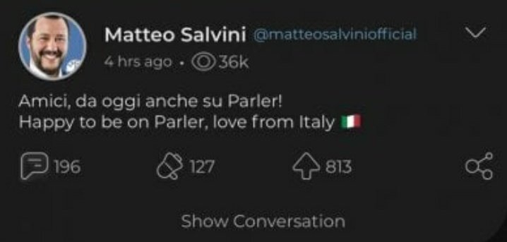 Parler è offline, rimosso il social network sovranista: Salvini si era appena iscritto