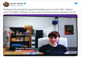 Intervistata dalla BBC non si accorge di aver lasciato un dildo sulla libreria, e il video diventa virale