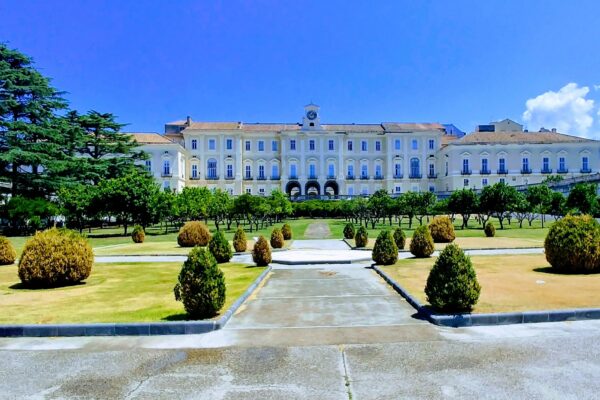 MAVV Wine Art Museum, il futuro del vino tra innovazione e tradizione