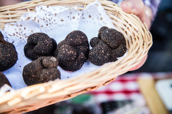Napoli, scoperta la truffa del tartufo: venduta a 1990 euro al chilo falsa specie pregiata