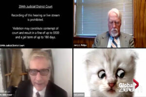 “Non sono un gatto”, avvocato ‘prigioniero’ di filtro su Zoom: il processo diventa una comica