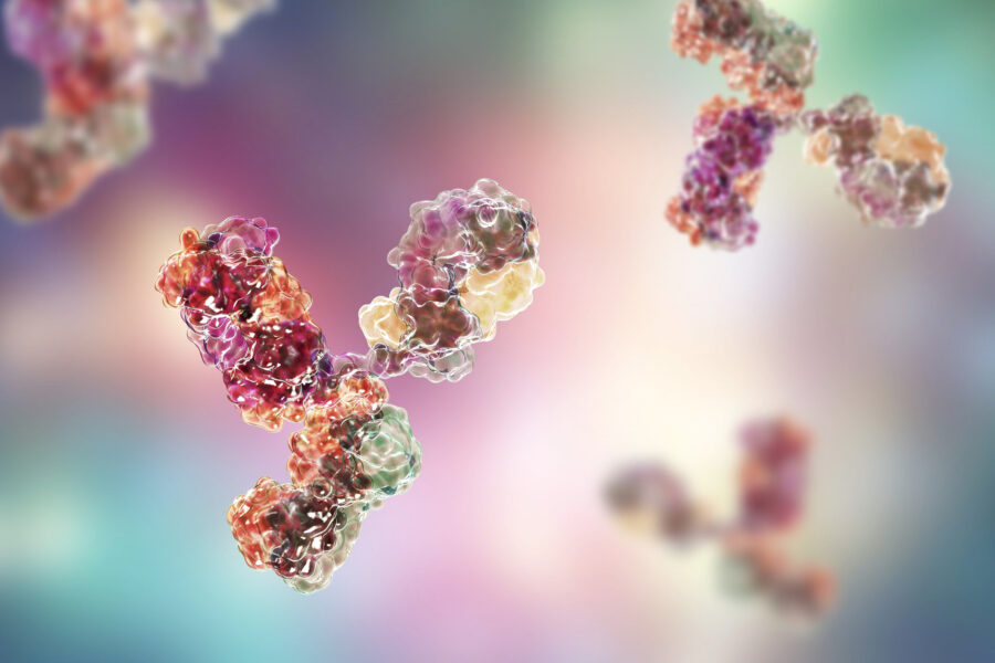 Anticorpi monoclonali Coronavirus: cosa sono e come possono sconfiggere il Covid