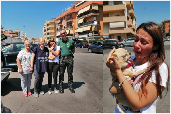 Cagnolino sparisce nel nulla ma torna dalla padrona dopo 8 anni, l’incredibile vicenda di Maya