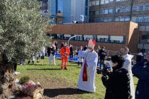“Hanno pagato con la vita la loro dedizione”, al Cotugno piantato un ulivo in memoria dei sanitari scomparsi per il Covid