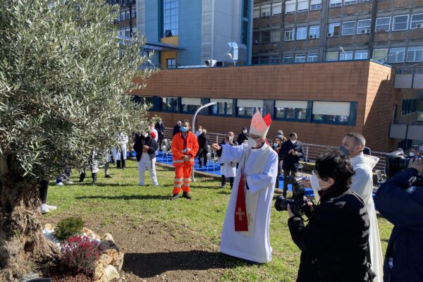 “Hanno pagato con la vita la loro dedizione”, al Cotugno piantato un ulivo in memoria dei sanitari scomparsi per il Covid