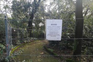 Verde urbano, il Comune di Napoli spende solo pochi spiccioli