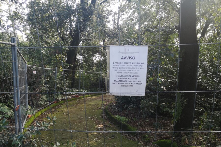 Verde urbano, il Comune di Napoli spende solo pochi spiccioli