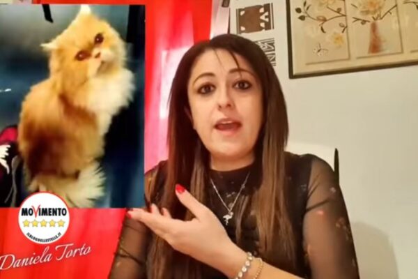 Le priorità dei grillini: interrogazione parlamentare sul caso Grisù, la gattina cacciata da un treno